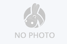 公司簡介-新疆西部青年國際旅行社有限公司